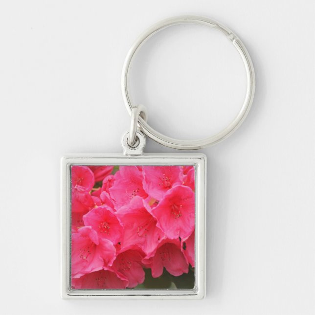 Washington, Seattle, Puget Sound, Discovery Park Keychain (Front)