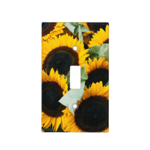 Washington, Seattle, Sunflower for sale pike Light Switch Cover