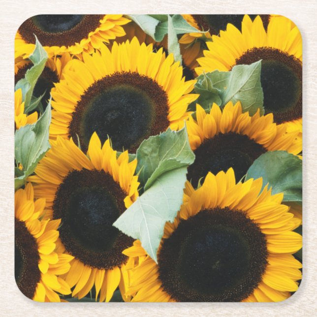 Washington, Seattle, Sunflower for sale pike Square Paper Coaster (Front)