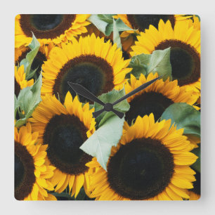 Washington, Seattle, Sunflower for sale pike Square Wall Clock