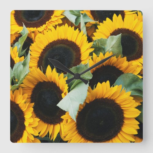 Washington Seattle Sunflower for sale pike Square Wall Clock