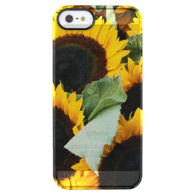 Washington, Seattle, Sunflower for sale pike Uncommon iPhone Case (Back)