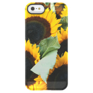 Washington, Seattle, Sunflower for sale pike Permafrost iPhone SE/5/5s Case