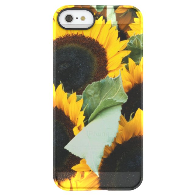 Washington, Seattle, Sunflower for sale pike Uncommon iPhone Case (Back)