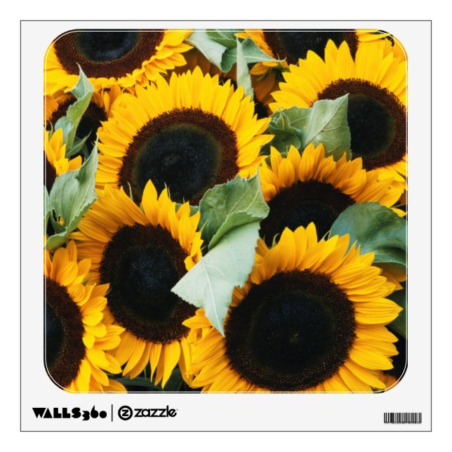 Washington, Seattle, Sunflower for sale pike Wall Decal (Front)