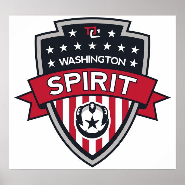Washington Spirit Icon Poster (Front)