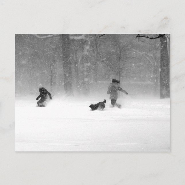 Washington Square, Philadelphia 2010 Postcard (Front)