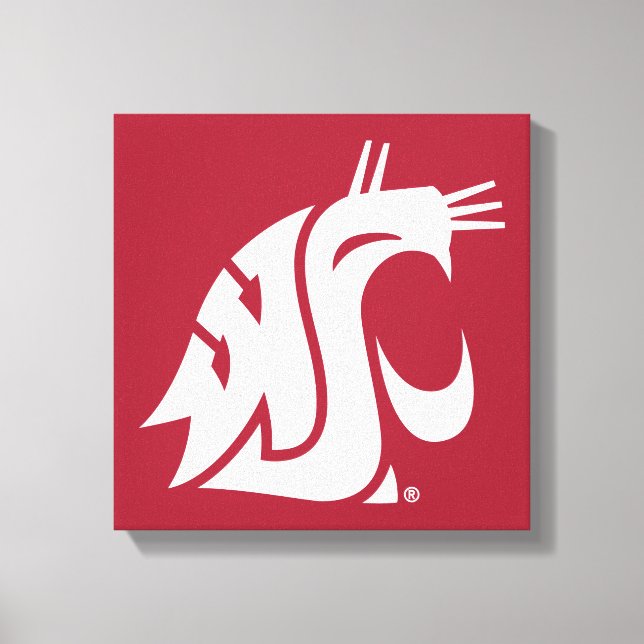 Washington State Cougar Canvas Print (Front)