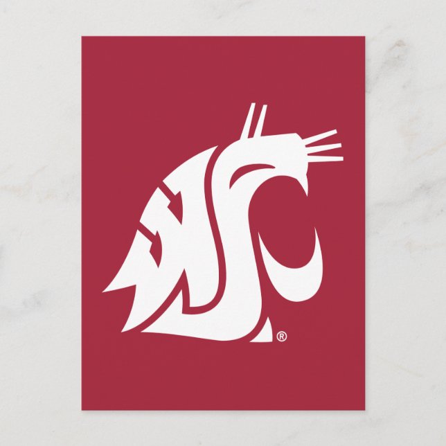 Washington State Cougar Postcard (Front)