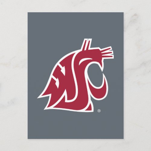 Washington State Cougar Postcard