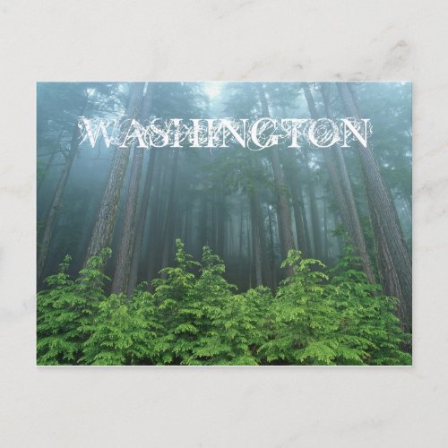Washington State Post Card