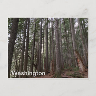 Washington State Postcard