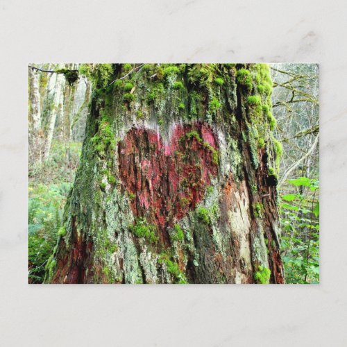 Washington State Postcard Tree of Love Postcard