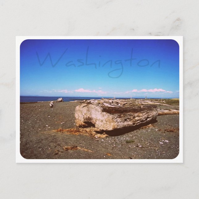 Washington State Seashore: Photograph Postcard (Front)