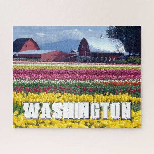 Washington State  Tulip Field Jigsaw Puzzle