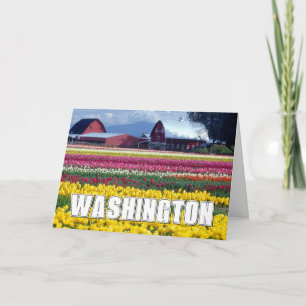Washington State Tulip Field Thank You Card