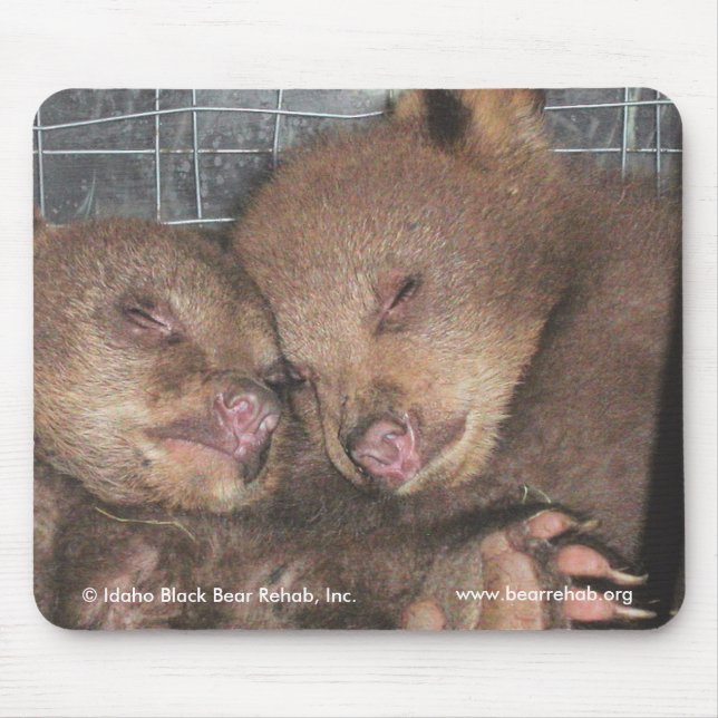 Washington Twins 2010 Mousepad (Front)
