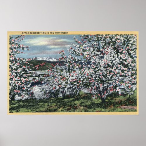 Washington _ View of Apple Trees in Blossom Poster