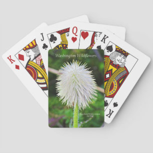 Washington Wildflower Pasqueflower White Seed Head Poker Cards