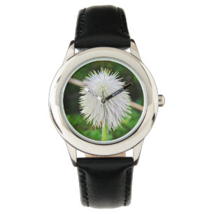 Washington Wildflower Pasqueflower White Seed Head Watch