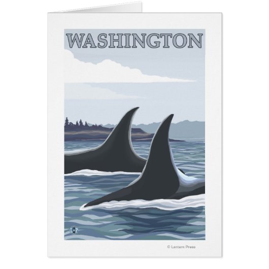 WashingtonOrca Fins Cards (Front)