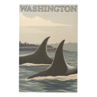 WashingtonOrca Fins Wood Wall Art