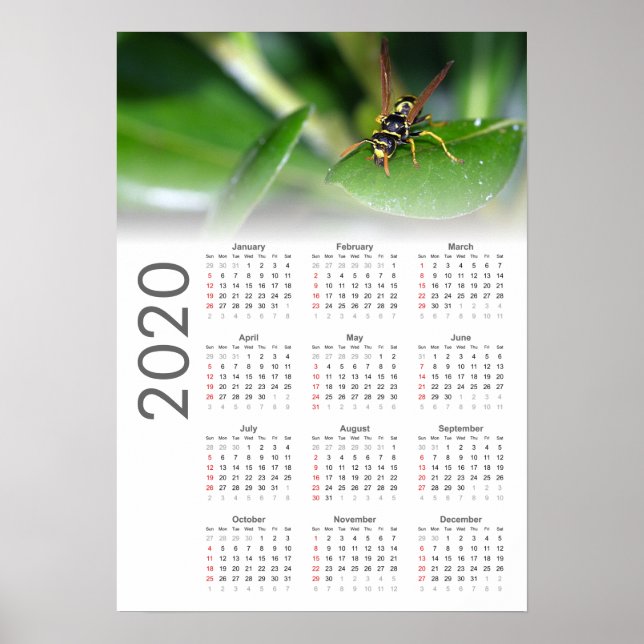 Wasp Calendar 2020 Poster (Front)