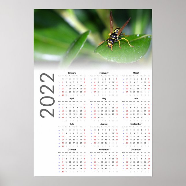 Wasp Calendar 2022 Poster - Sunday start (Front)