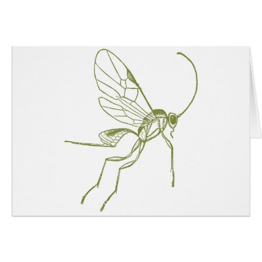 Wasp, Meteorus Hyphantria Cards (Front Horizontal)