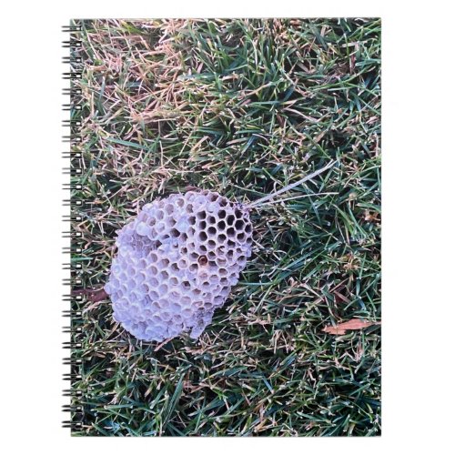 Wasp  Nest Notebook