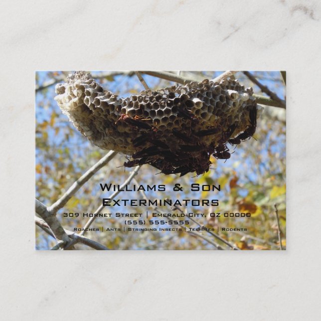 Wasp Nest! Yikes! Business Card (Front)