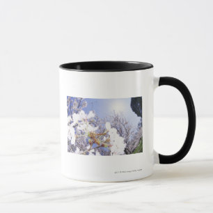 Wasp on Cherry Blossom, close up Mug
