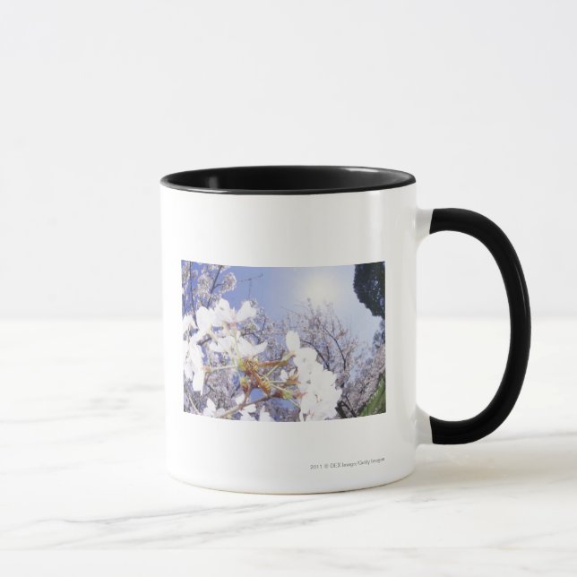Wasp on Cherry Blossom, close up Mug (Right)