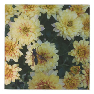 Wasp On Fall Mum Canvas Art