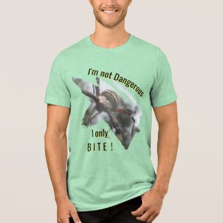 Wasp Spider Close Up Fun T-Shirt