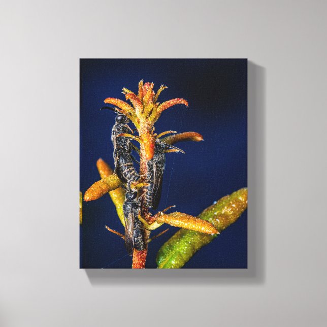 Wasps on Oak Canvas Print (Front)