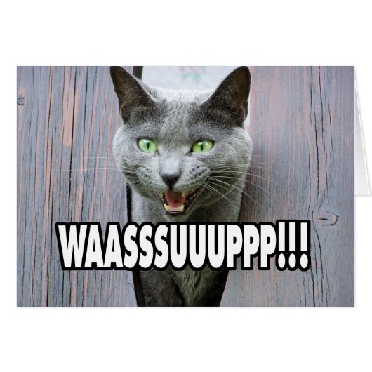 WASSUP - Cat Meme Cards (Front Horizontal)