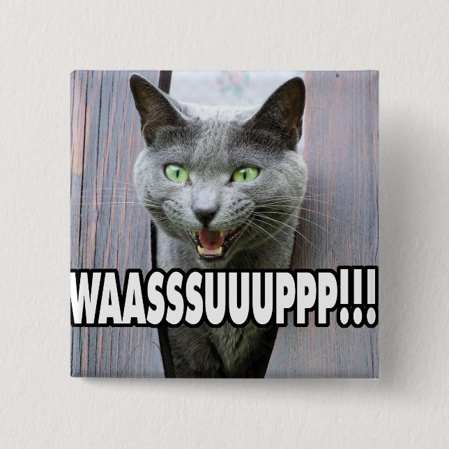 WASSUP - Cat Meme Pinback Button (Front)