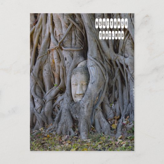 Wat Mahathat Buddha Head