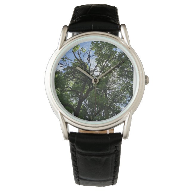 Watch  (Front)