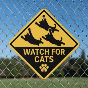 Watch For Cats Street Metal Sign