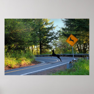 Watch for Deer Poster