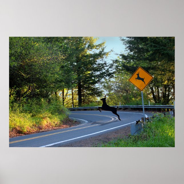 Watch for Deer Poster (Front)