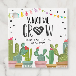 baby shower succulent tags
