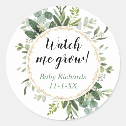 Watch me grow greenery gold eucalyptus baby shower classic round sticker
