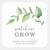 Watch Me Grow Rustic Elegant Greenery Baby Shower Square Sticker