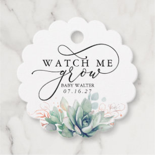 Baby shower top succulent tags