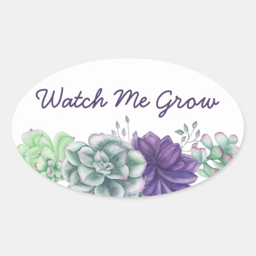 Watch Me Grow Watercolor Succulents Botanical Oval Sticker