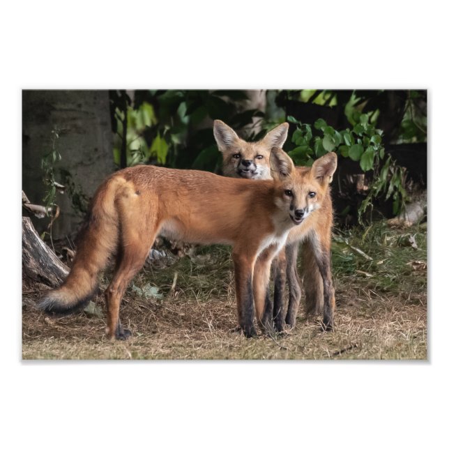  Watch Out For My Brother Photo Print (Front)