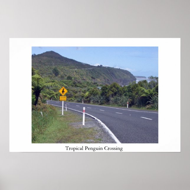 Watch out for penguins poster (Front)